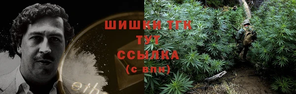 ГАЛЛЮЦИНОГЕННЫЕ ГРИБЫ Абинск